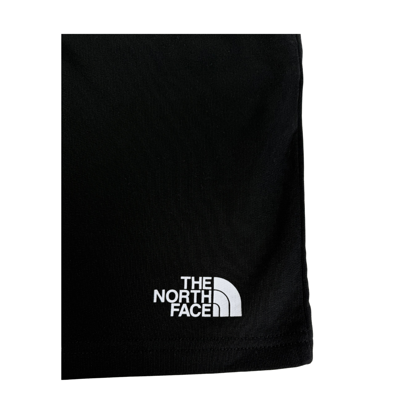 THE NORTH FACE STAND SHORT LIGHT