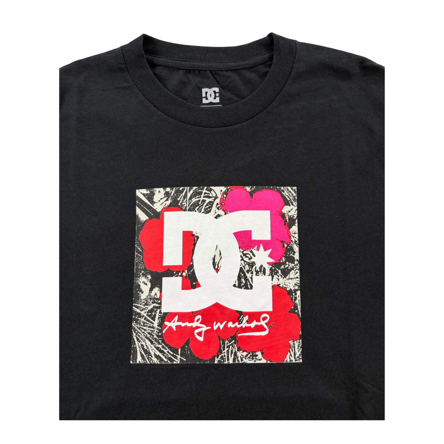 DCSHOES x ANDY WARHOL
