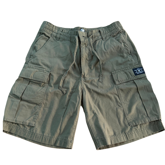 DCSHOES Tundra 22'